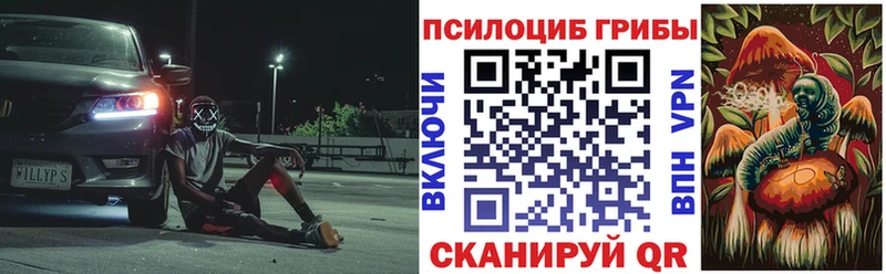 Псилоцибиновые грибы прущие грибы  где можно купить наркотик  Ильский 
